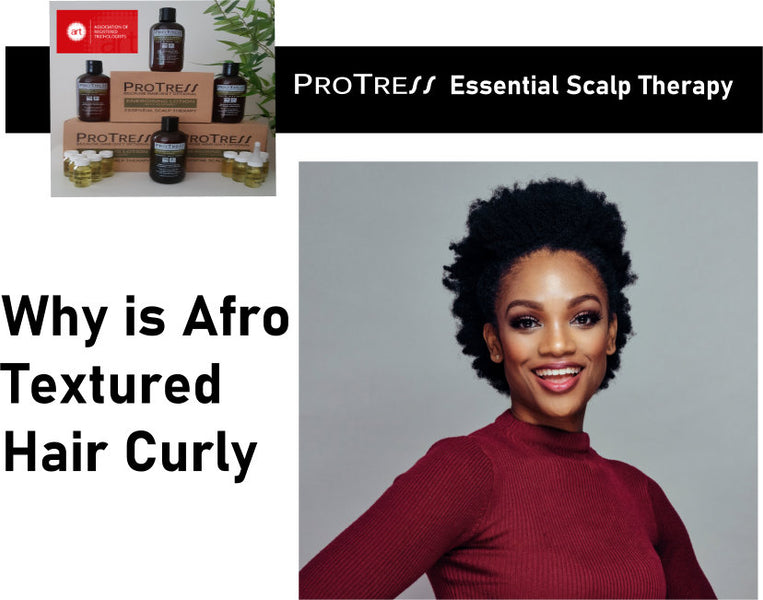 Why is Afro Textured Hair Curly