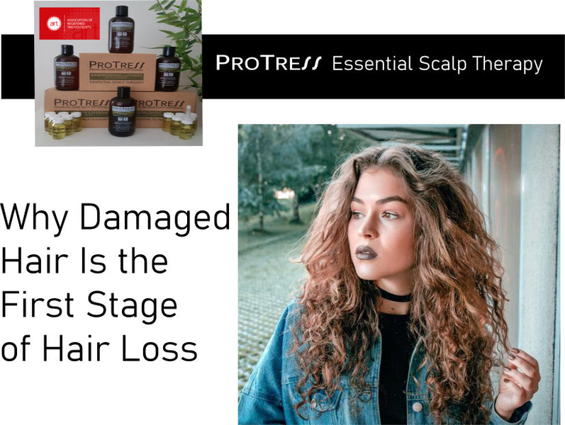 Why Damaged Hair Is the First Stage of Hair Loss